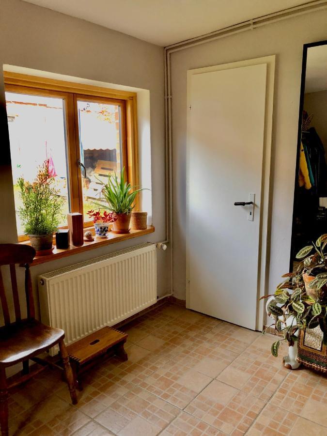 Gemuetliches Studio-Apartment In Ostseenaehe - Cosy Wulfi Probsteierhagen 외부 사진
