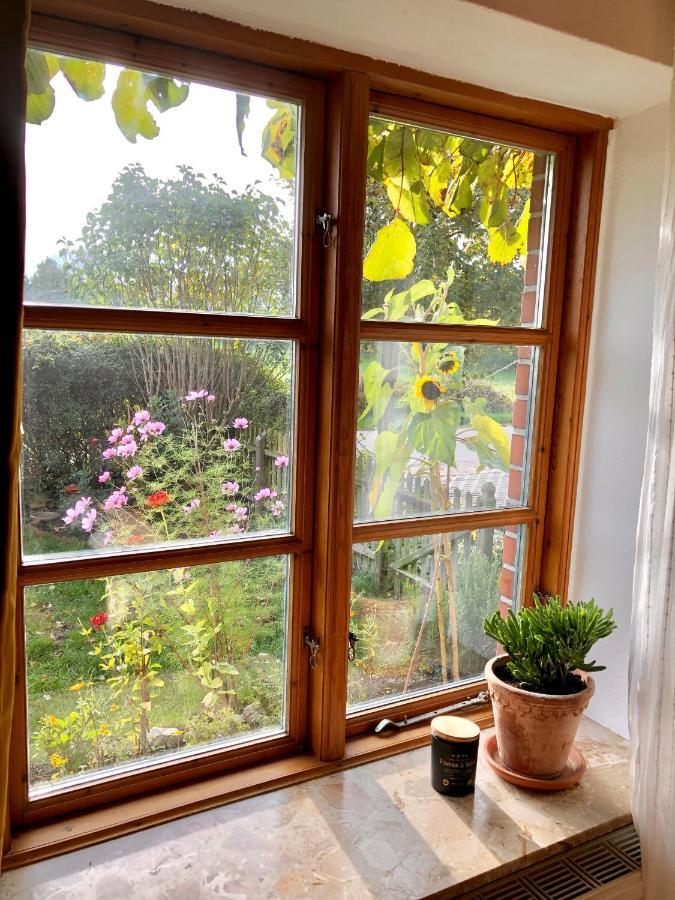 Gemuetliches Studio-Apartment In Ostseenaehe - Cosy Wulfi Probsteierhagen 외부 사진